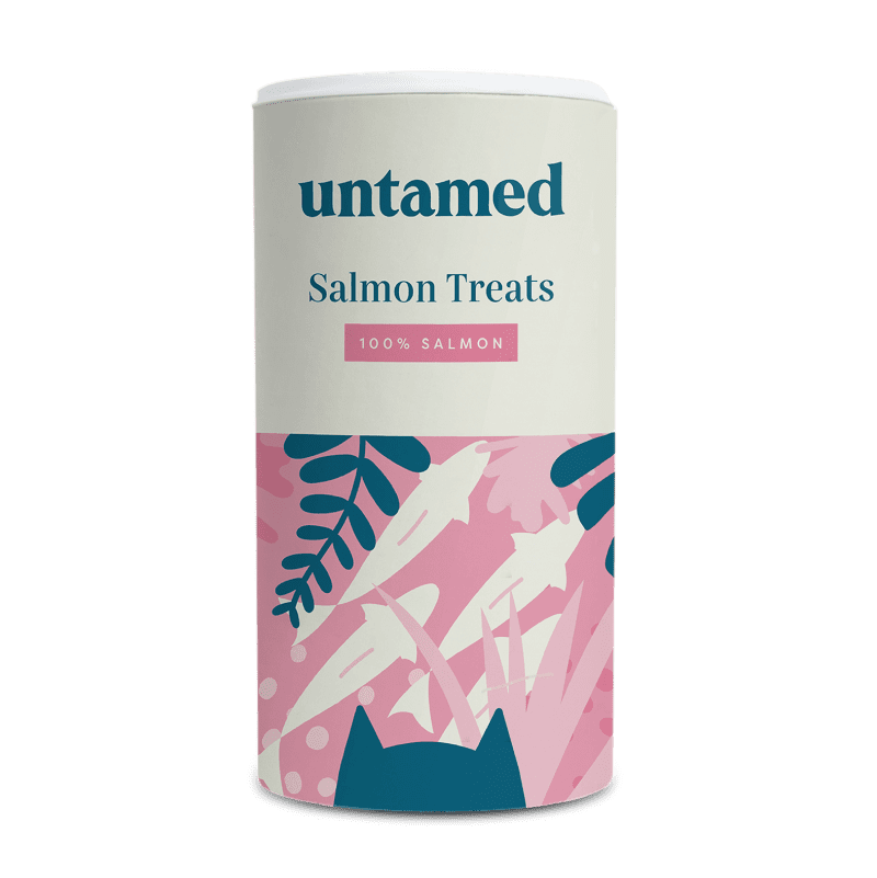 Salmon Treats